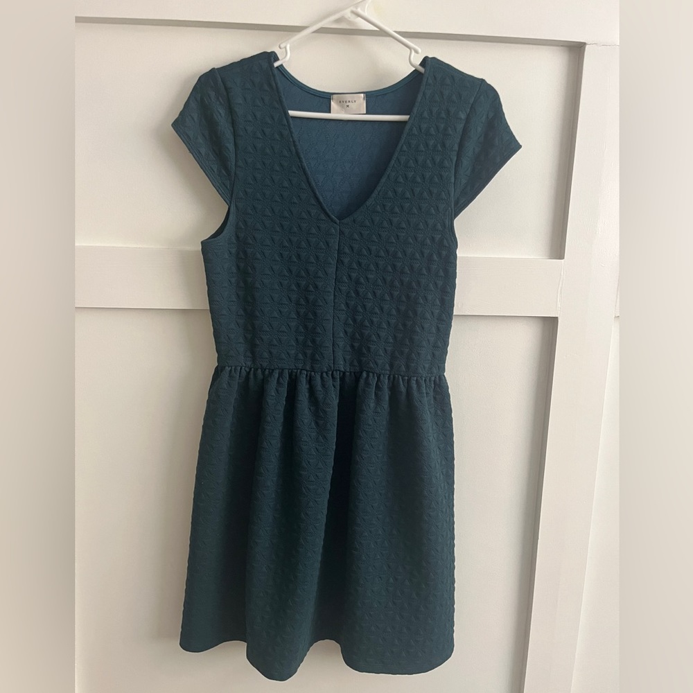 Everly Fit and Flare Dress